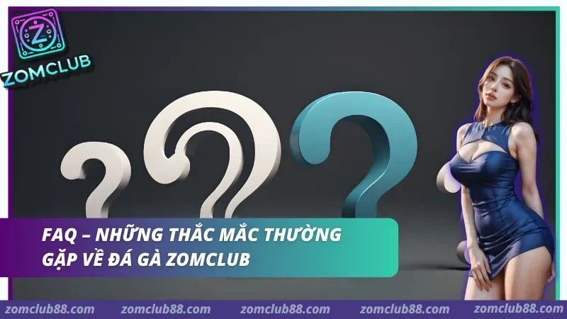 Hỗ trợ đá gà ZomClub Hỗ trợ kê thủ tại sảnh đá gà ZomClub 24/7