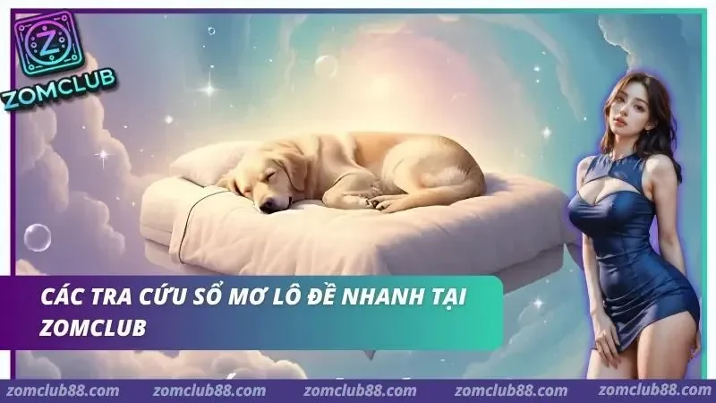 Cách tra sổ mơ lô đề Zomclub theo nhóm con người động vật sự kiện thiên nhiên và đồ vật