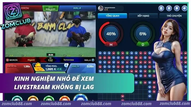 Hình ảnh Xem Da Ga Thomo Truc Tiep Zomclub 5 1 trong bài viết Xem Đá Gà Thomo Trực Tiếp ZomClub - Lịch & Cách Xem 2026. Kiểm tra mạng thiết bị trình duyệt và ứng dụng để xem livestream đá gà Thomo ZomClub ổn định hơn